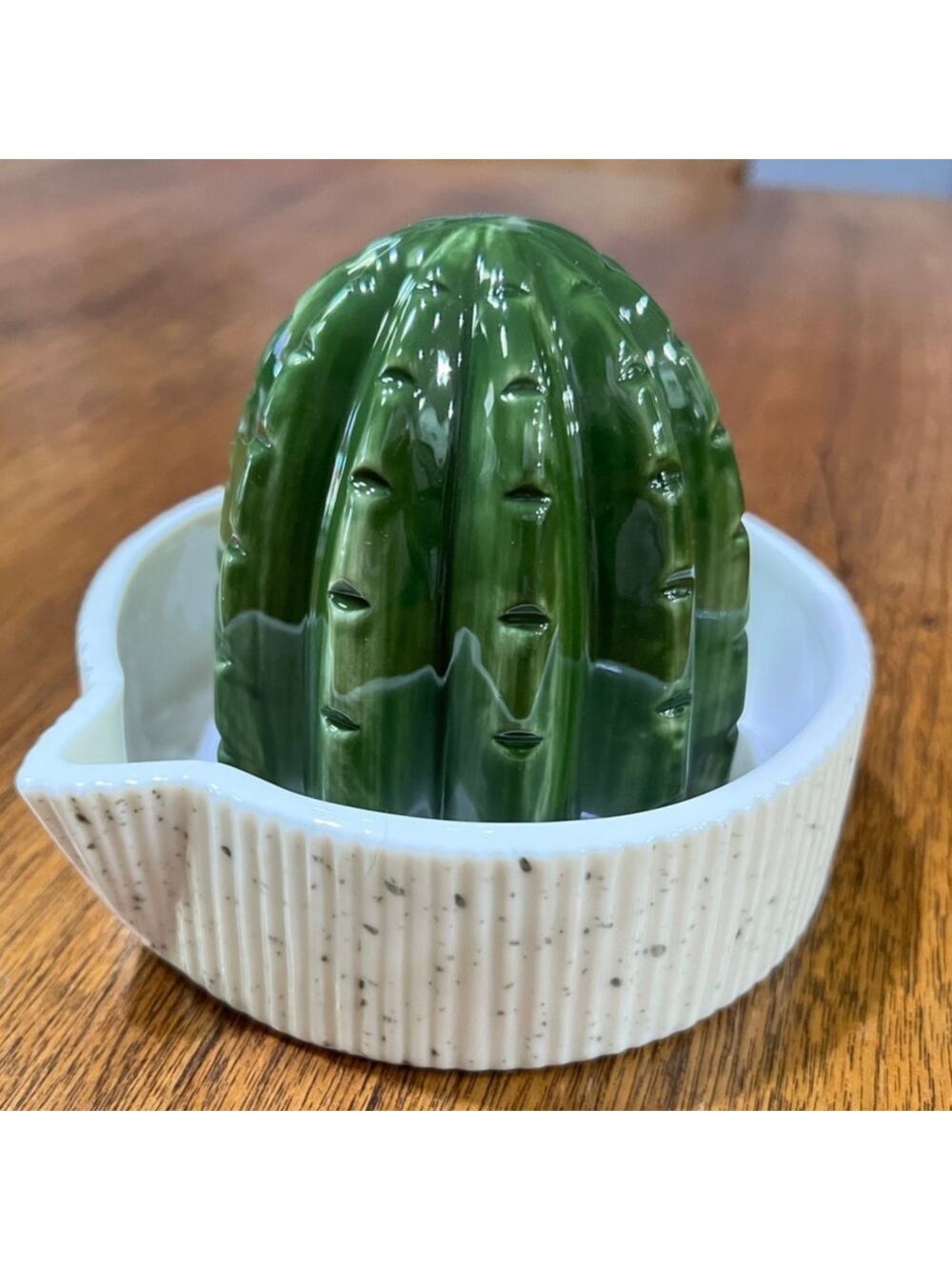 Ceramic Cactus Juicer